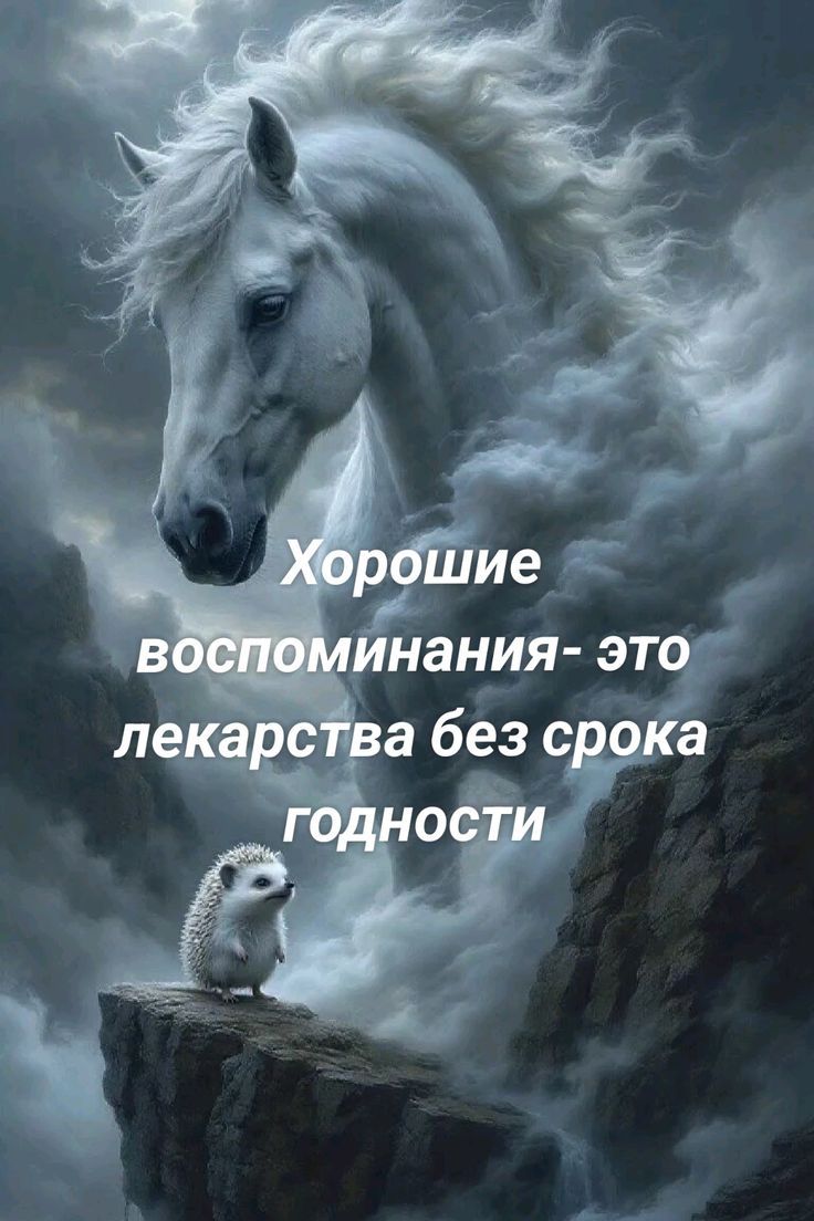 Хорошие воспоминания- это лекарства без срока годности