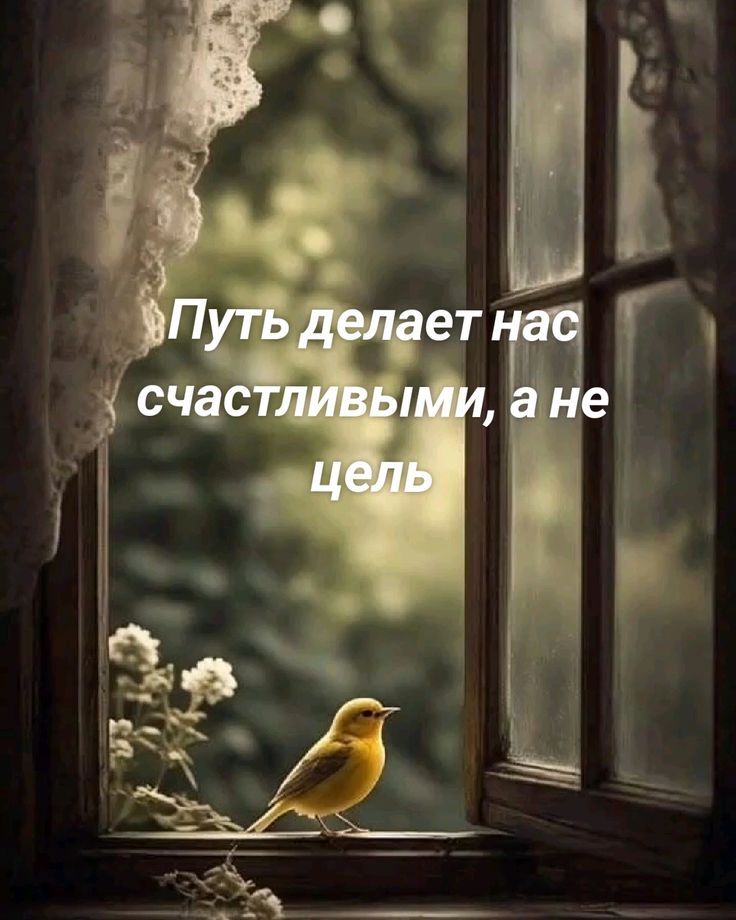 Путь делает нас счастливыми, а не цель