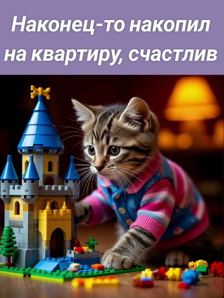 Наконец-то накопил на квартиру, счастлив