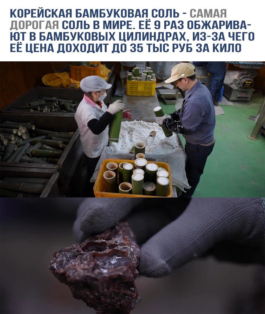 КОРЕЙСКАЯ БАМБУКОВАЯ СОЛЬ - САМАЯ ДОРОГАЯ СОЛЬ В МИРЕ. ЕЁ 9 РАЗ ОБЖАРИВАЮТ В БАМБУКОВЫХ ЦИЛИНДРАХ, ИЗ-ЗА ЧЕГО ЕЁ ЦЕНА ДОХОДИТ ДО 35 ТЫС РУБ ЗА КИЛО