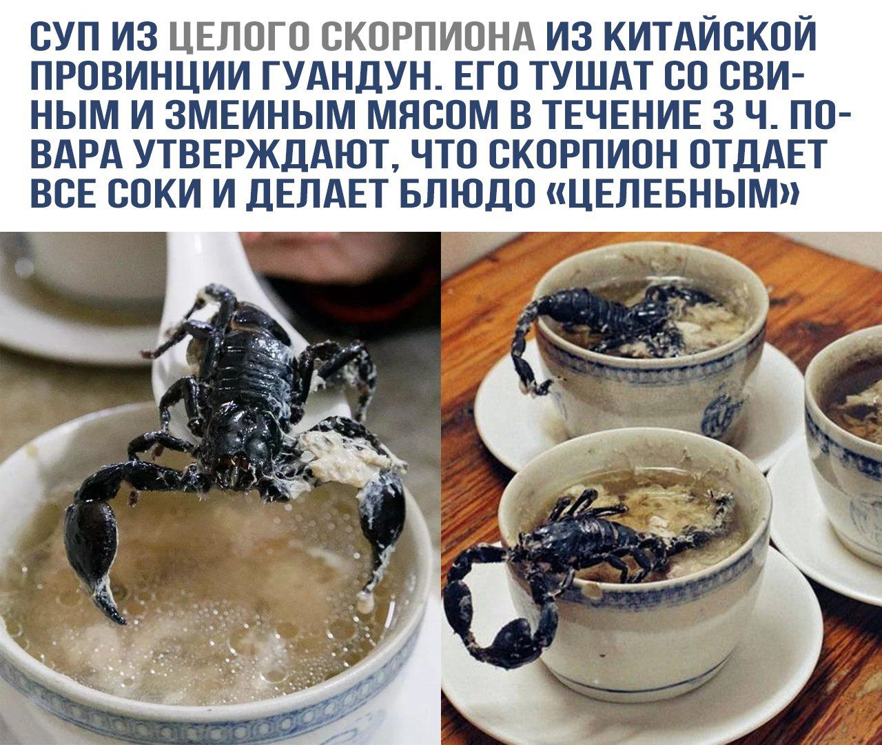 СУП ИЗ ЦЕЛОГО СКОРПИОНА ИЗ КИТАЙСКОЙ ПРОВИНЦИИ ГУНДУН. ЕГО ТУШАТ СО СВИНИНЫМ И ЗМЕИНЫМ МЯСОМ В ТЕЧЕНИЕ 3 Ч. ПО-ВАРА УТВЕРДАЮТ, ЧТО СКОРПИОН ОТДАЕТ ВСЕ СОКИ И ДЕЛАЕТ БЛЮДО «ЦЕЛЕБНЫМ»