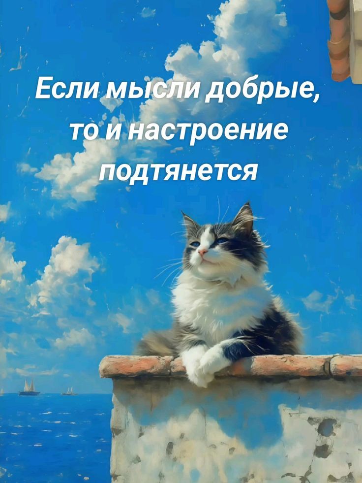 Если мысли добрые, то и настроение подтянется