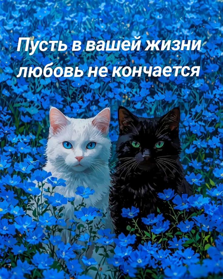 Пусть в вашей жизни любовь не кончается