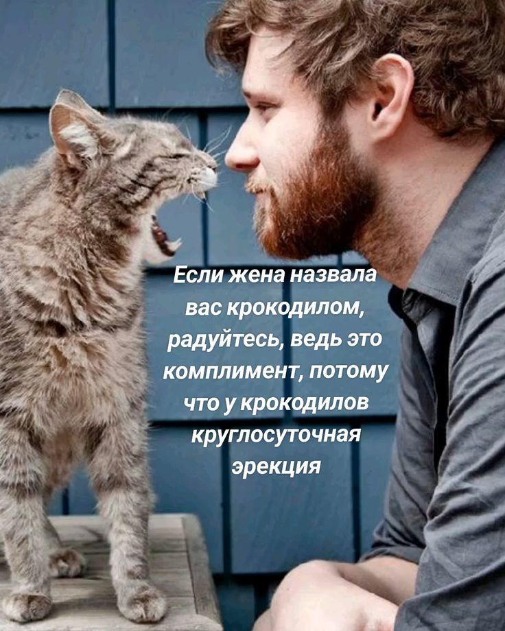Если жена назвала вас крокодилом, радуйтесь, ведь это комплимент, потому что у крокодилов круглосуточная эрекция