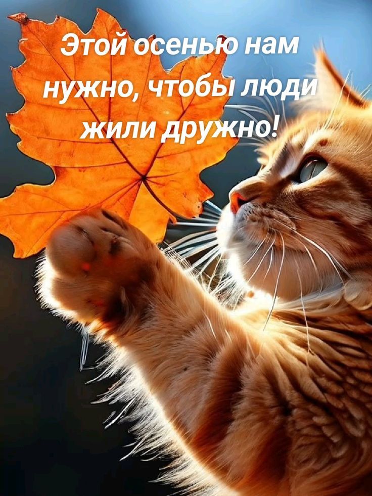 Этой осенью нам нужно, чтобы люди жили дружно!