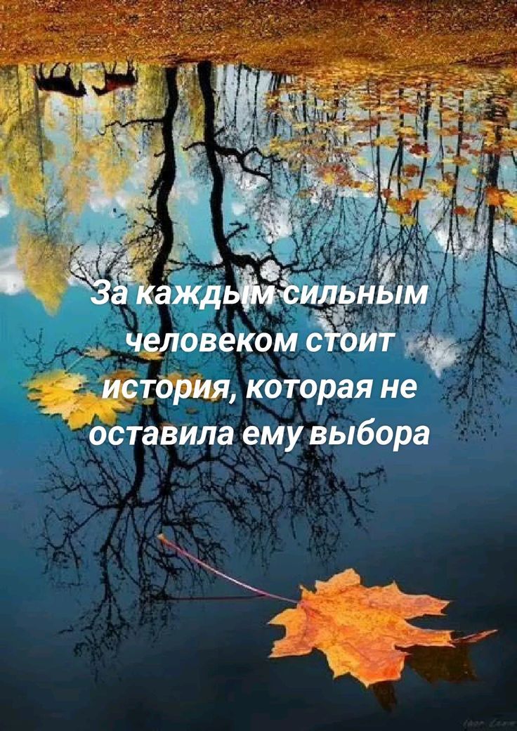За каждым сильным человеком стоит история, которая не оставила ему выбора