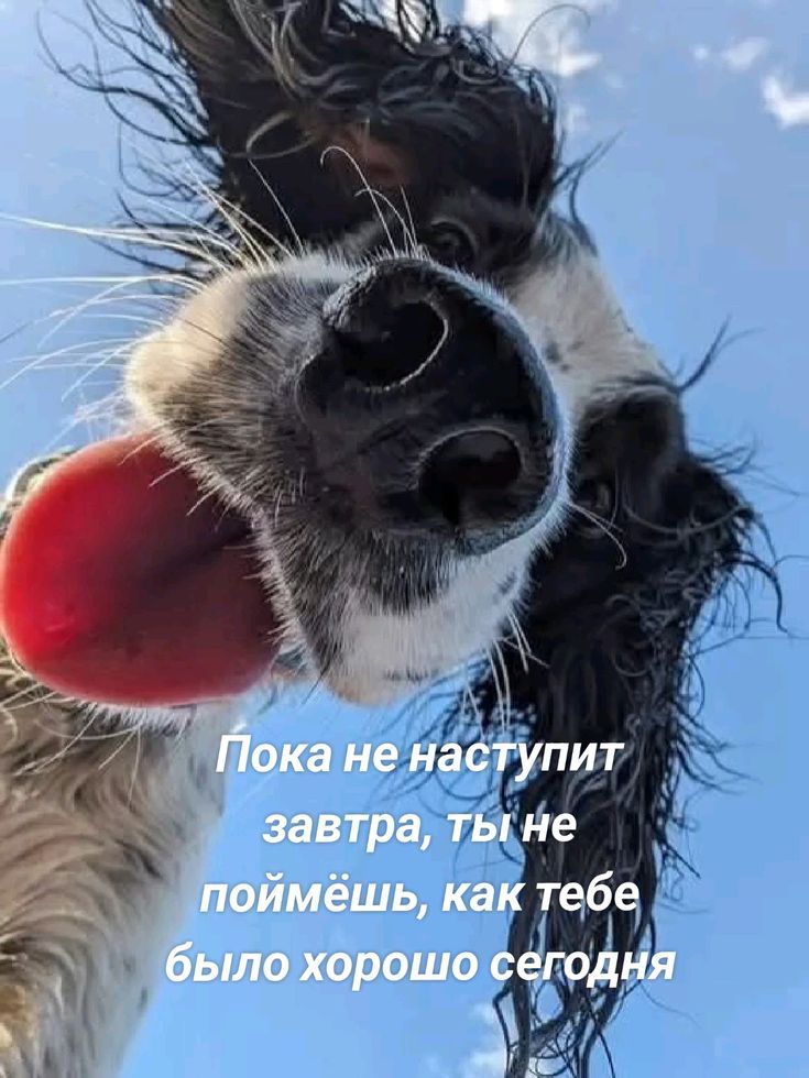 Пока не наступит завтра, ты не поймёшь, как тебе было хорошо сегодня