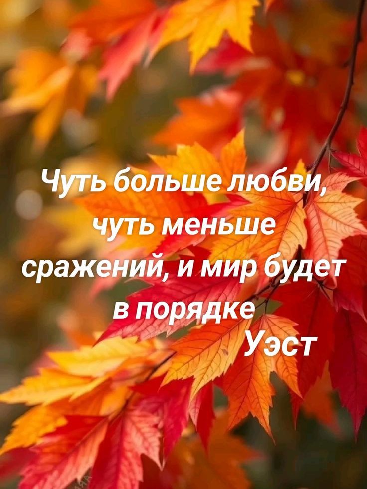Чуть больше любви, чуть меньше сражений, и мир будет в порядке Уэст
