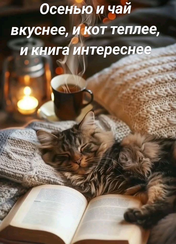 Осенью и чай вкуснее, и кот теплее, и книга интереснее
