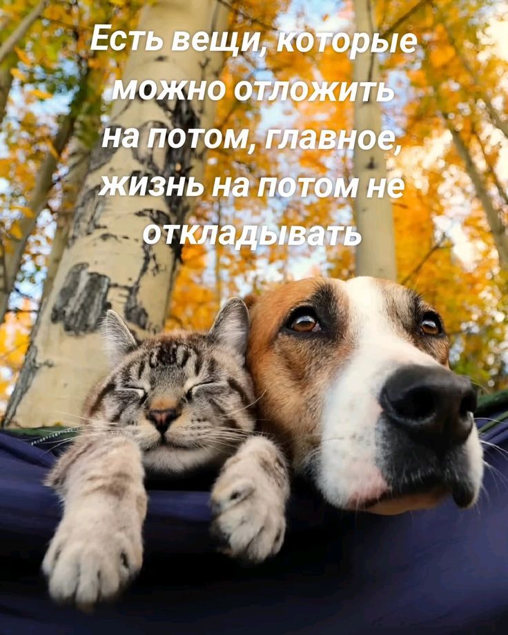 Есть вещи, которые можно отложить на потом, главное, жизнь на потом не откладывать