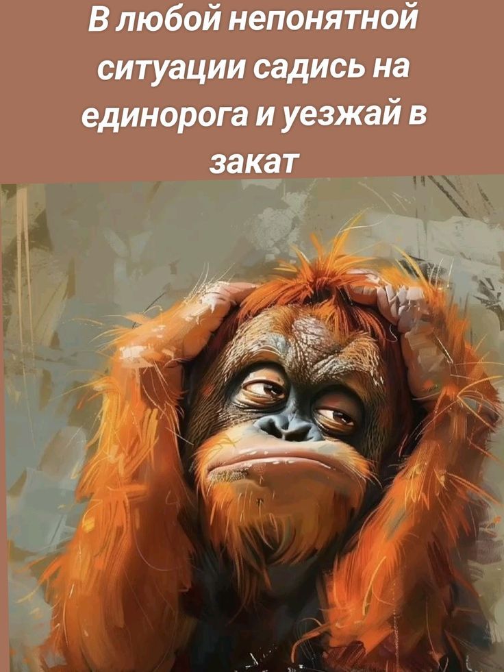 В любой непонятной ситуации садись на единорога и уезжай в закат