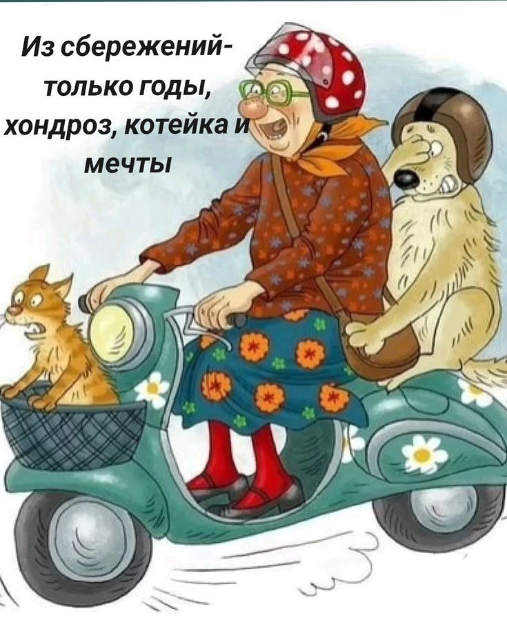 Из сбережений- только годы, хондроз, котейка и мечты
