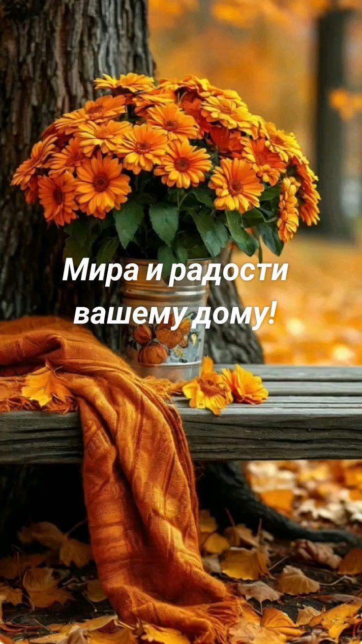 Мира и радости вашему дому!