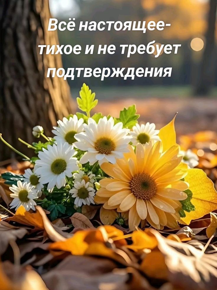 Всё настоящее- тихое и не требует подтверждения