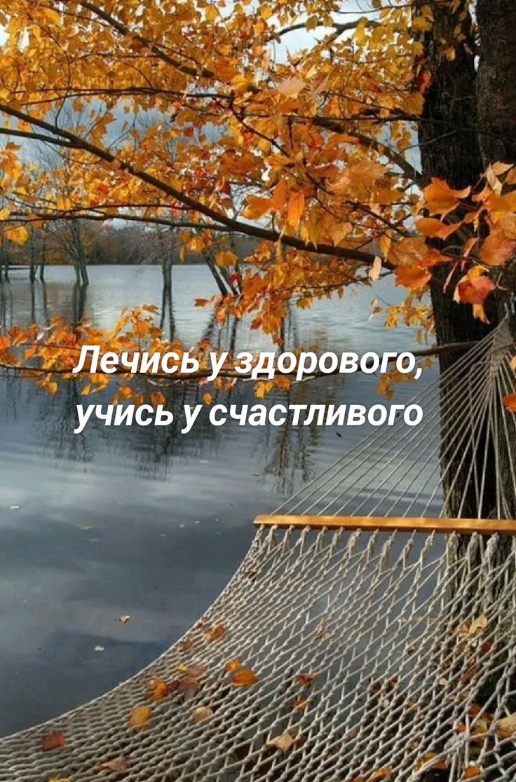 Лечись у здорового, учись у счастливого