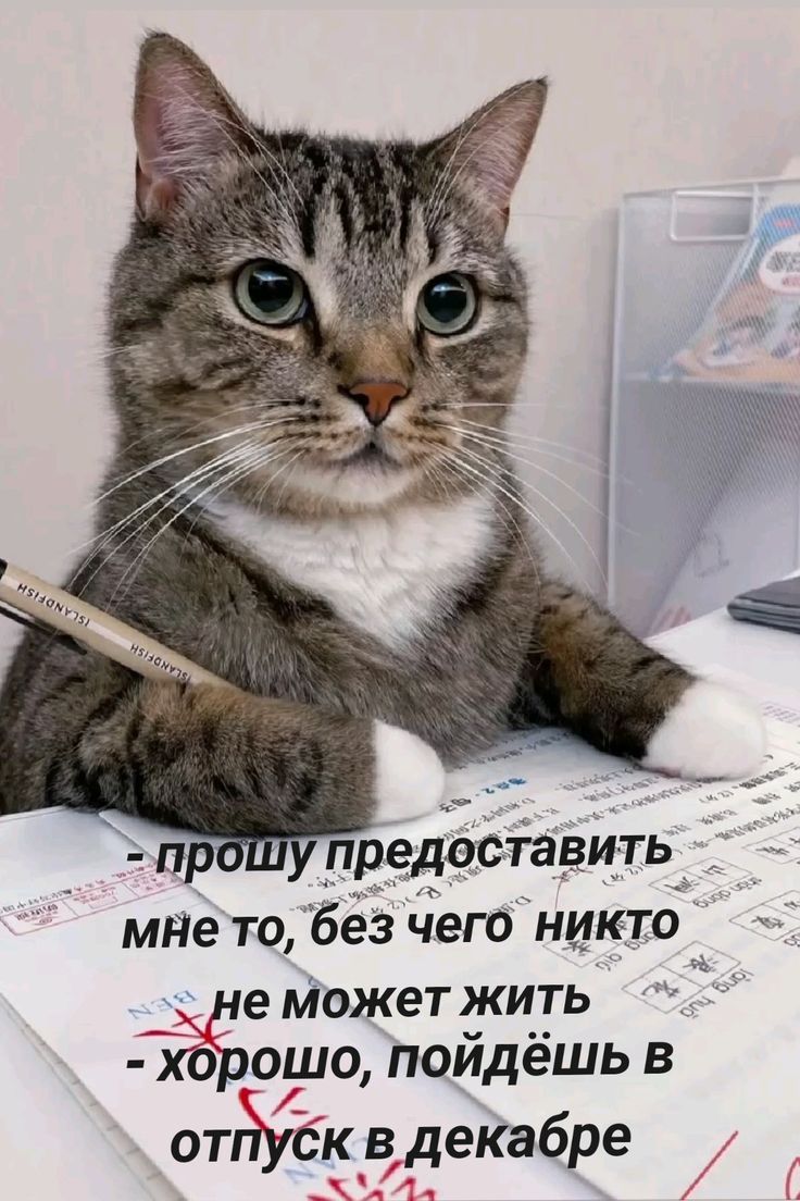 - прошу предоставить мне то, без чего никто не может жить
- хорошо, пойдёшь в отпуск в декабре
