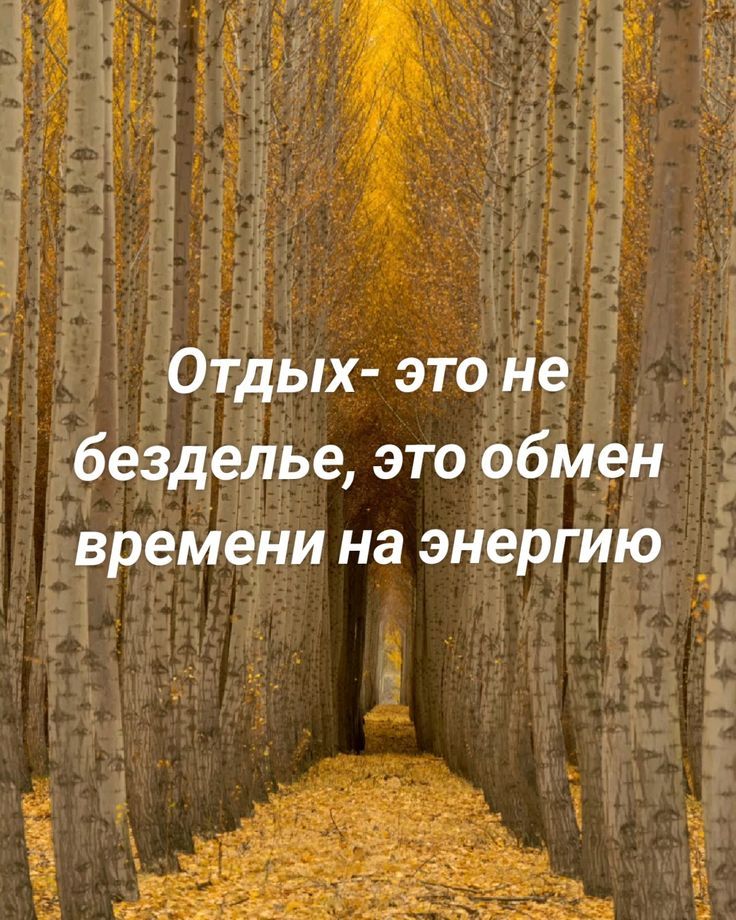 Отдых- это не безделье, это обмен времени на энергию