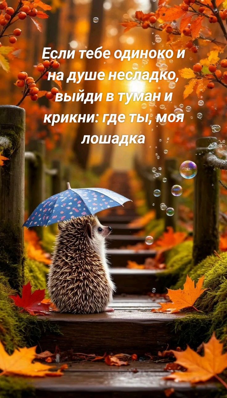 Если тебе одиноко и на душе несладко, выйди в туман и крикни: где ты, моя лошадка
