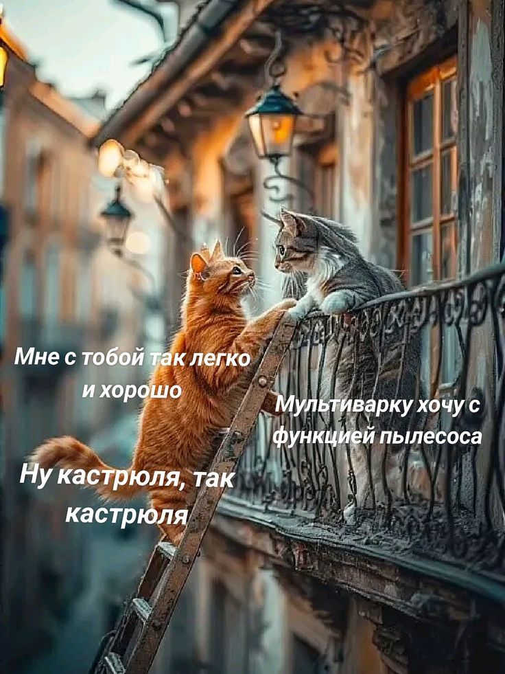 Мне с тобой так легко и хорошо
Ну кастрюля, так кастрюля
Мультиварку хочу с функцией пылесоса