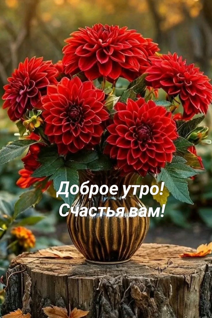 Доброе утро! Счастья вам!
