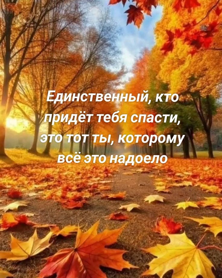 Единственный, кто придёт тебя спасти, это тот ты, которому всё это надоело