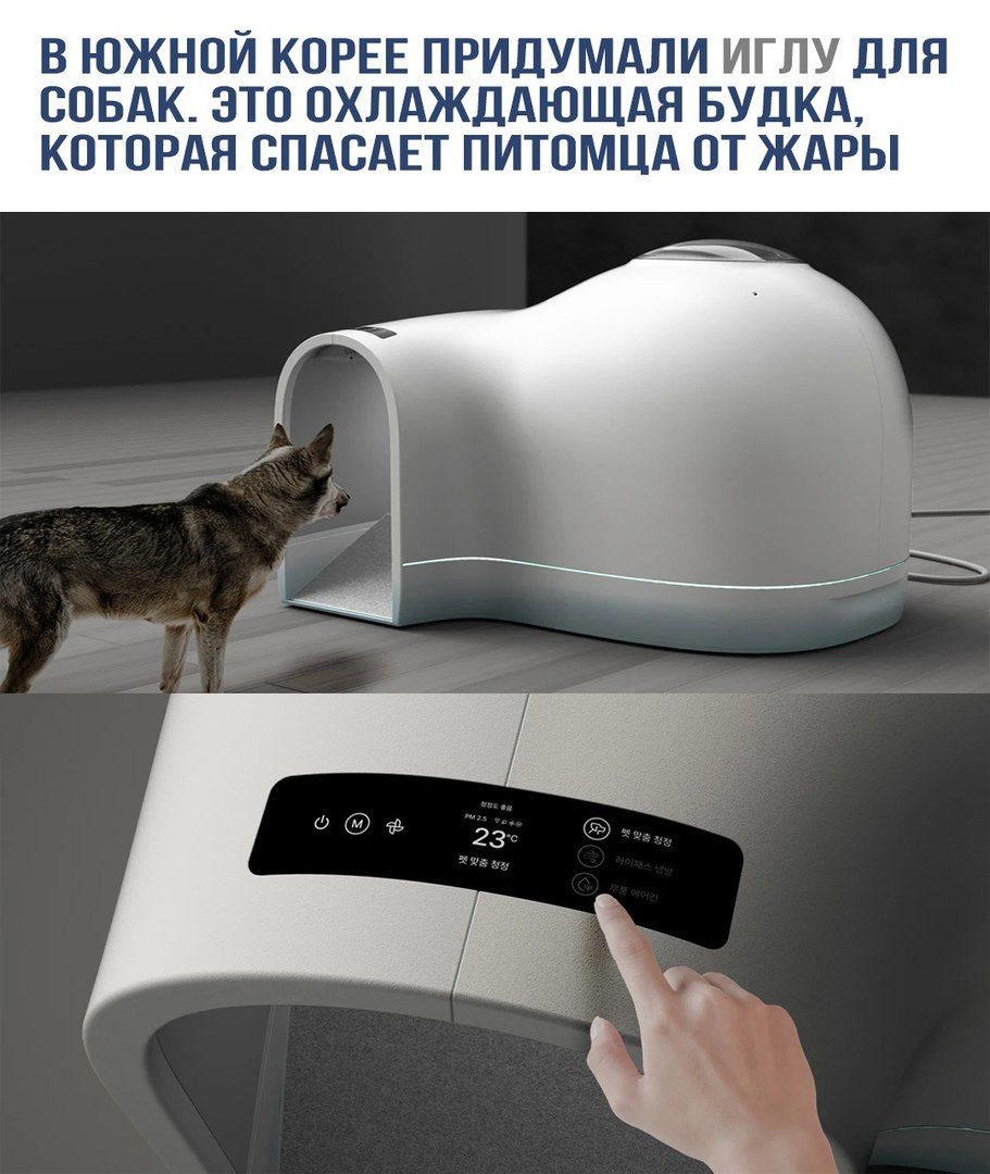 В ЮЖНОЙ КОРЕЕ ПРИДУМАЛИ ИГЛУ ДЛЯ СОБАК. ЭТО ОХЛАЖДАЮЩАЯ БУДКА, КОТОРАЯ СПАСАЕТ ПИТОМЦА ОТ ЖАРЫ