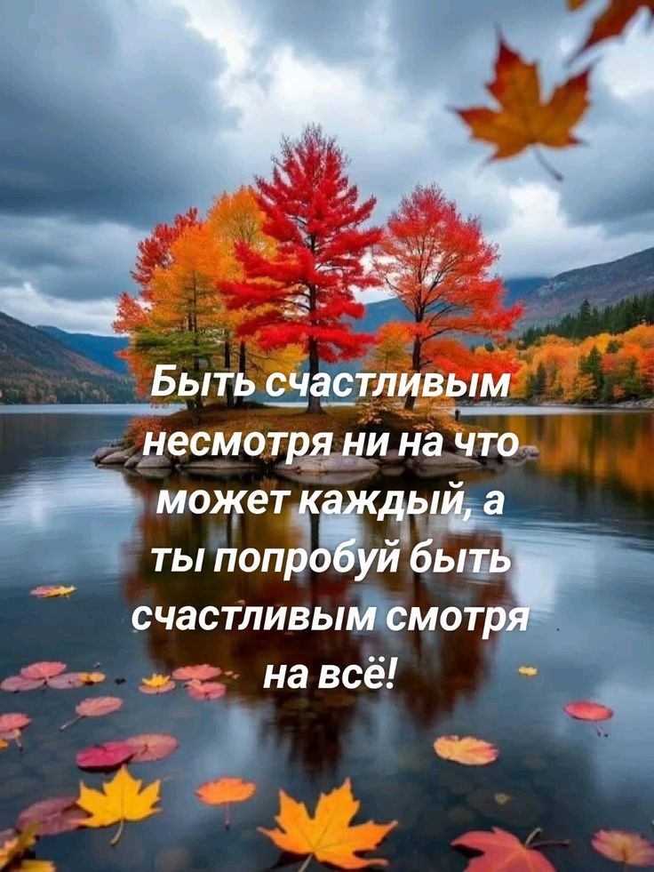 Быть счастливым несмотря ни на что может каждый, а ты попробуй быть счастливым смотря на всё!