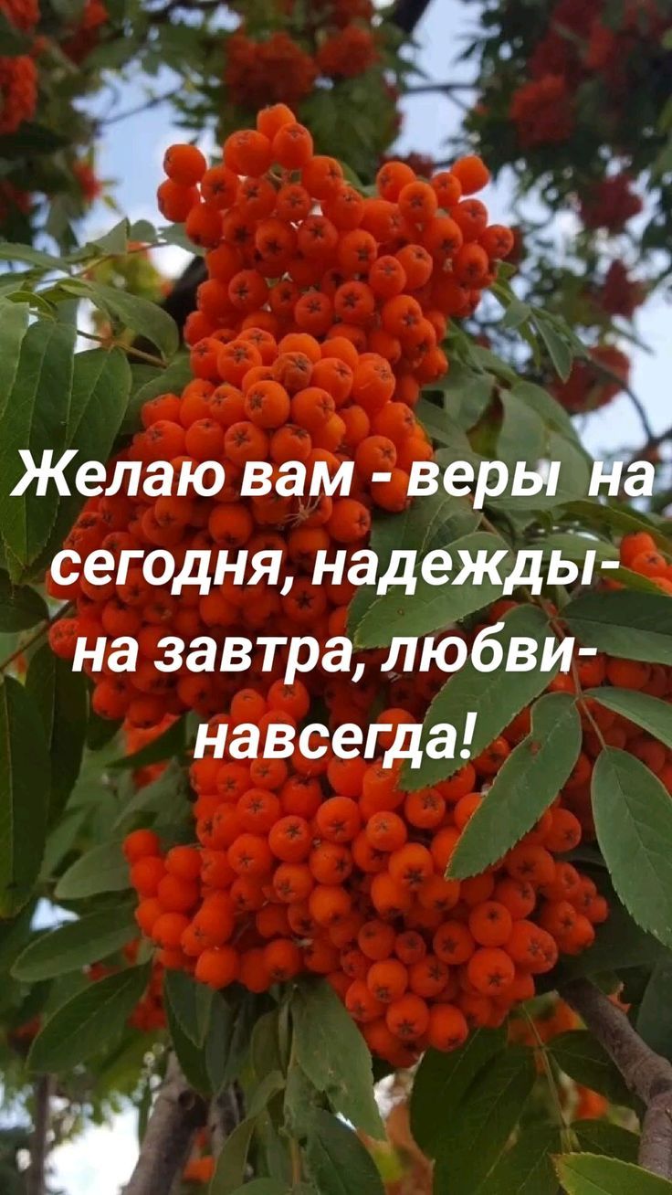 Желаю вам - веры на сегодня, надежды - на завтра, любви - навсегда!