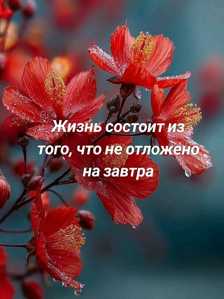Жизнь состоит из того, что не отложено на завтра