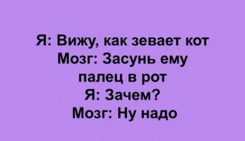 Я: Вижу, как зевает кот
Мозг: Засунь ему палец в рот
Я: Зачем?
Мозг: Ну надо
