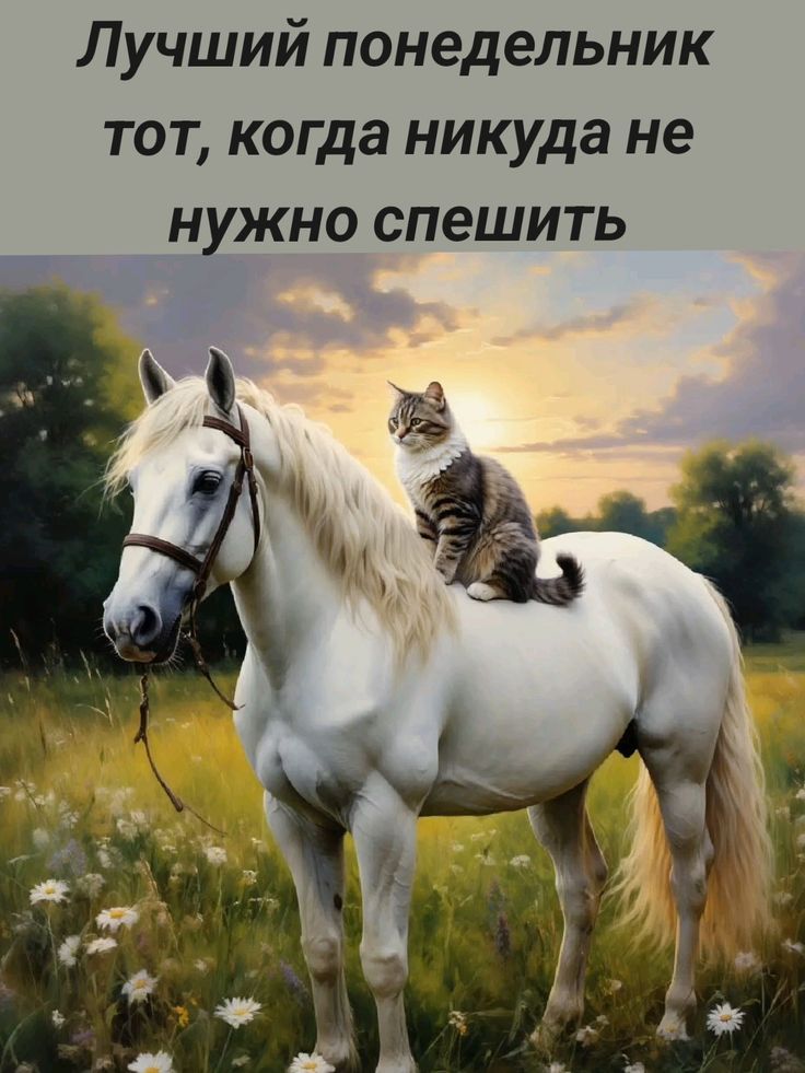 Лучший понедельник тот, когда никуда не нужно спешить