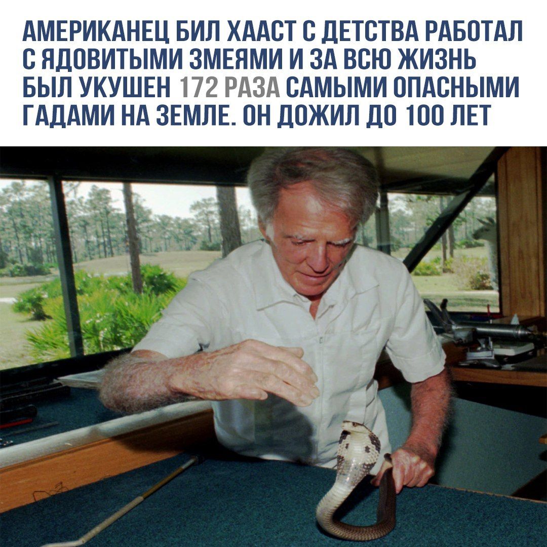 АМЕРИКАНЕЦ БИЛ ХААСТ С ДЕТСТВА РАБОТАЛ С ЯДОВИТЫМИ ЗМЕЯМИ И ЗА ВСЮ ЖИЗНЬ БЫЛ УКУШЕН 172 РАЗА САМИМИ ОПАСНЫМИ ГАДАМИ НА ЗЕМЛЕ. ОН ДОЖИЛ ДО 100 ЛЕТ.