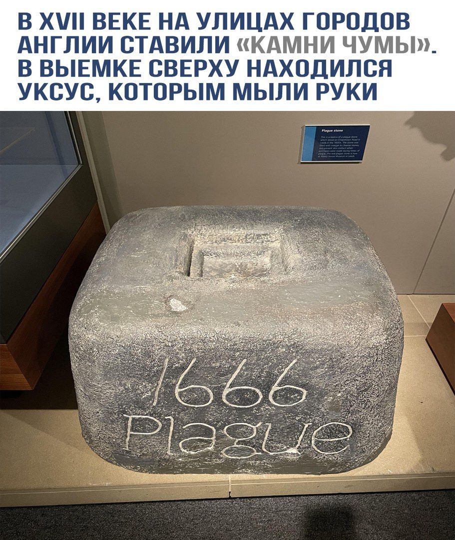 В XVII ВЕКЕ НА УЛИЦАХ ГОРОДОВ АНГЛИИ СТАВИЛИ «КАМНИ ЧУМЫ». В ВЫЕМКЕ СВЕРХУ НАХОДИЛСЯ УКУС, КОТОРЫМ МЫЛИ РУКИ
1666
Plague