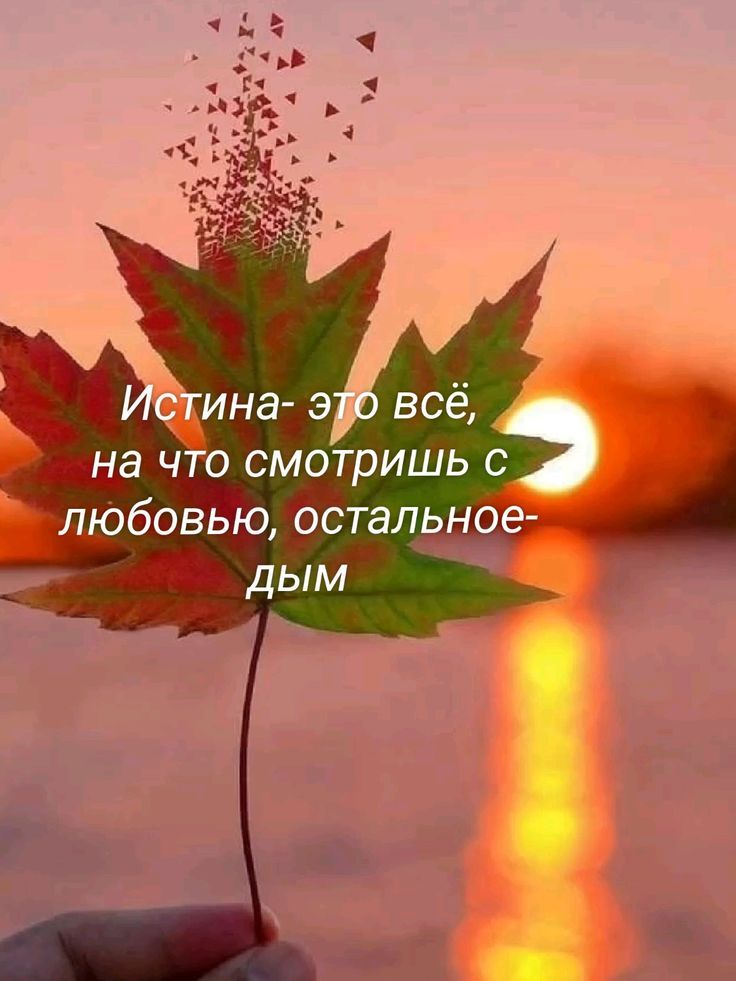 Истина- это всё, на что смотришь с любовью, остальное-дым