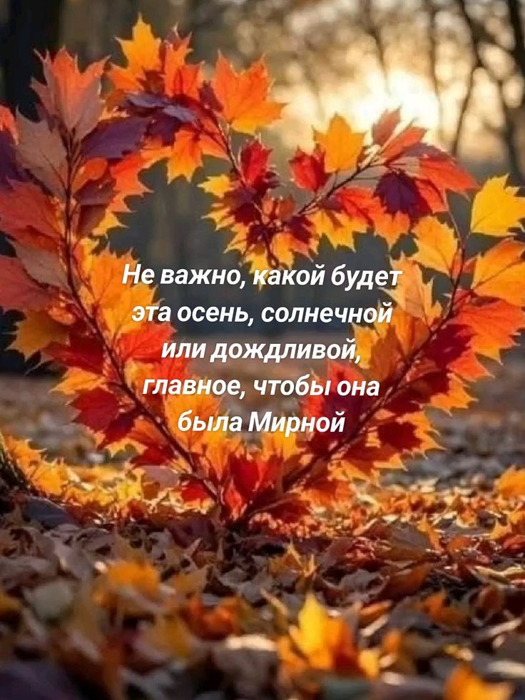 Не важно, какой будет эта осень, солнечной или дождливой, главное, чтобы она была Мирной