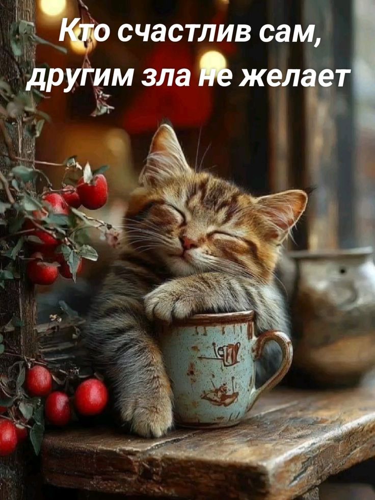 Кто счастлив сам, другим зла не желает