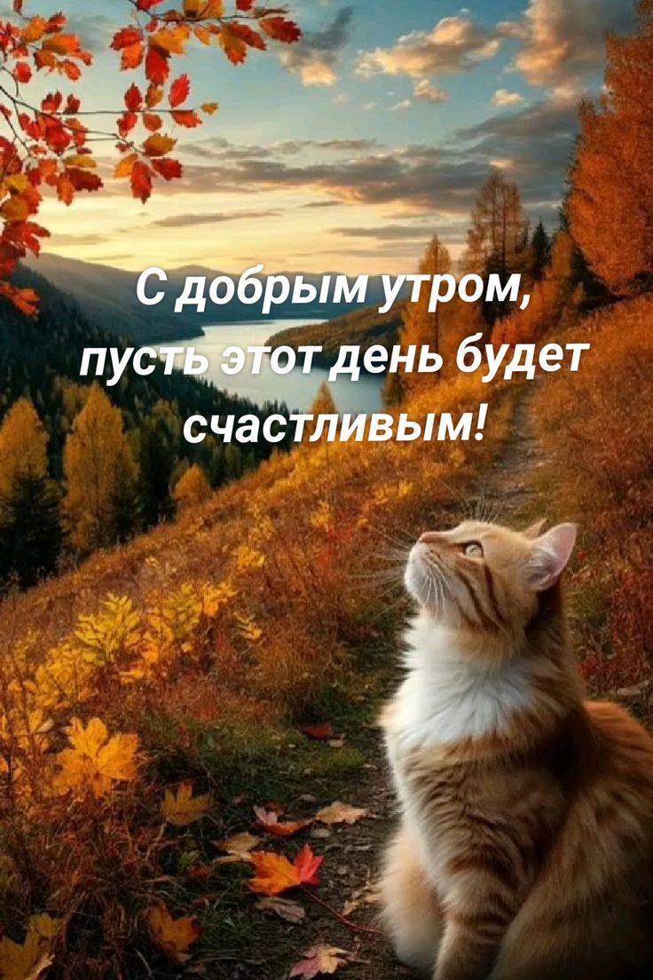 С добрым утром, пусть этот день будет счастливым!
