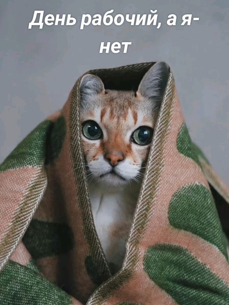 День рабочий, а я-нет