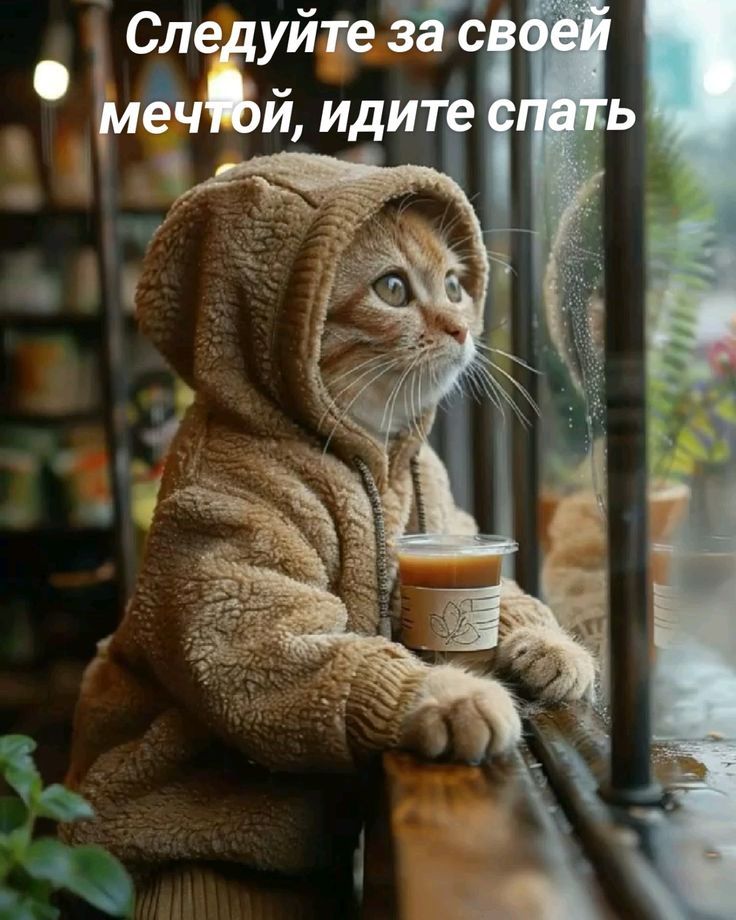 Следуйте за своей мечтой, идите спать