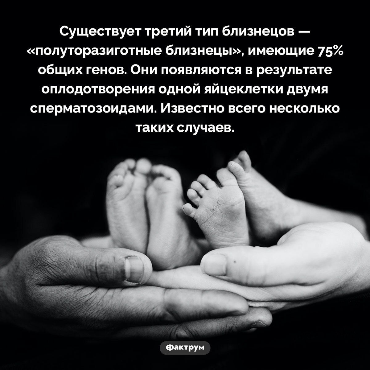 Существует третий тип близнецов — «полуторозиготные близнецы», имеющие 75% общих генов. Они появляются в результате оплодотворения одной яйцеклетки двумя сперматозоидами. Известно всего несколько таких случаев.