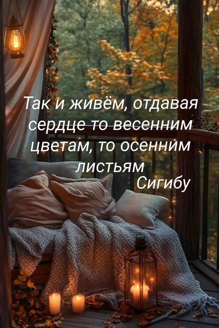 Так и живём, отдавая сердце то весенним цветам, то осенним листьям Сигибу