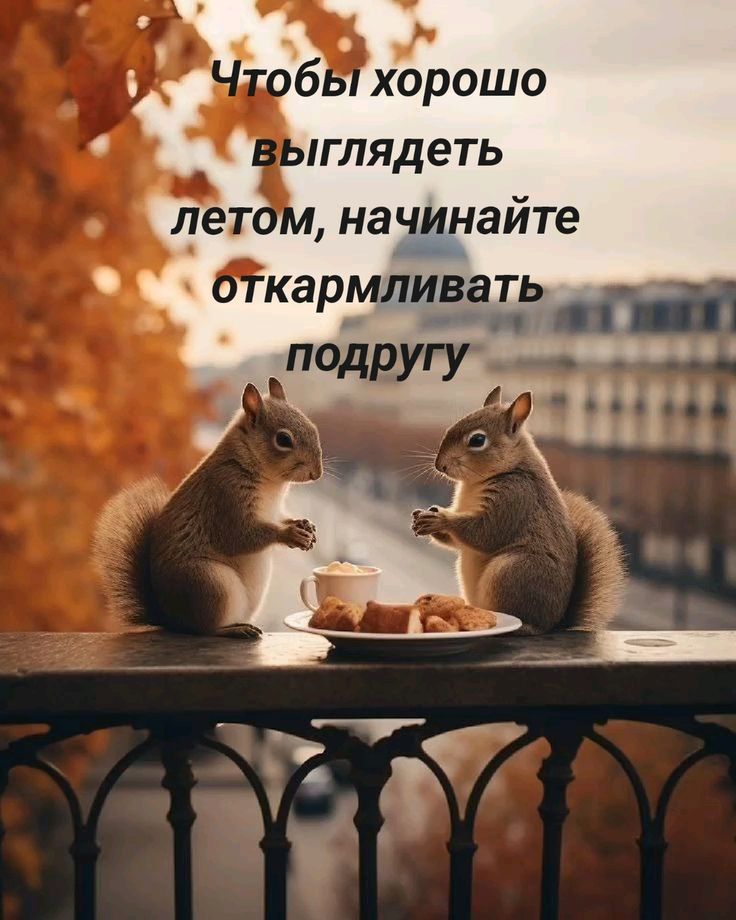 Чтобы хорошо выглядеть летом, начинайте откармливать подругу
