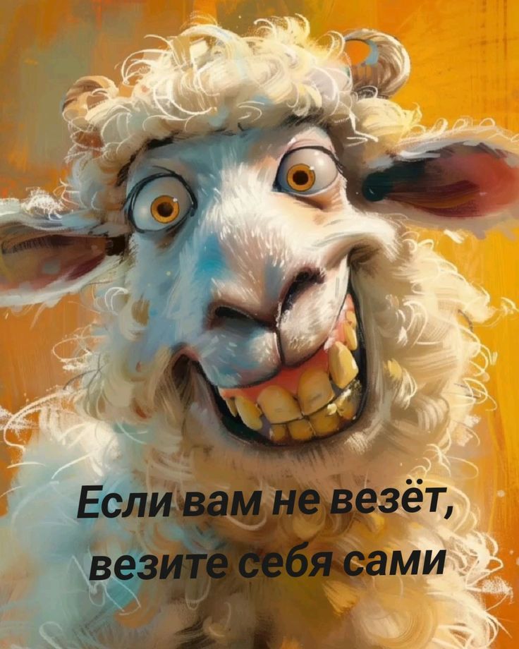 Если вам не везёт, везите себя сами