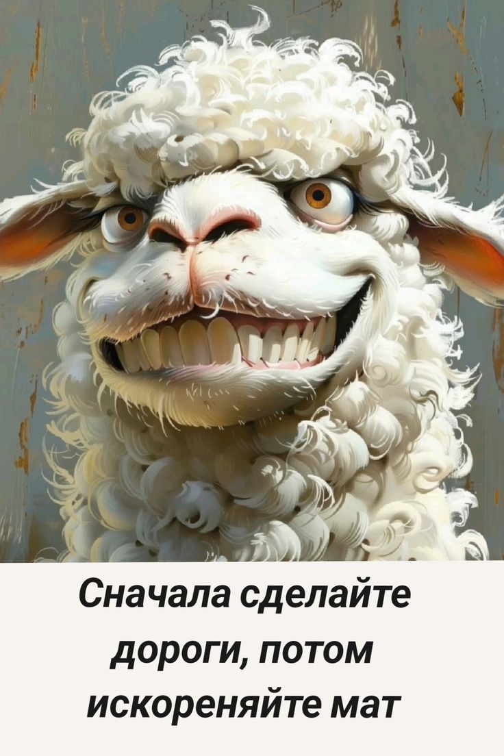 Сначала сделайте дороги, потом искореняйте мат