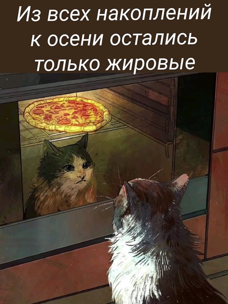 Из всех накоплений к осени остались только жировые