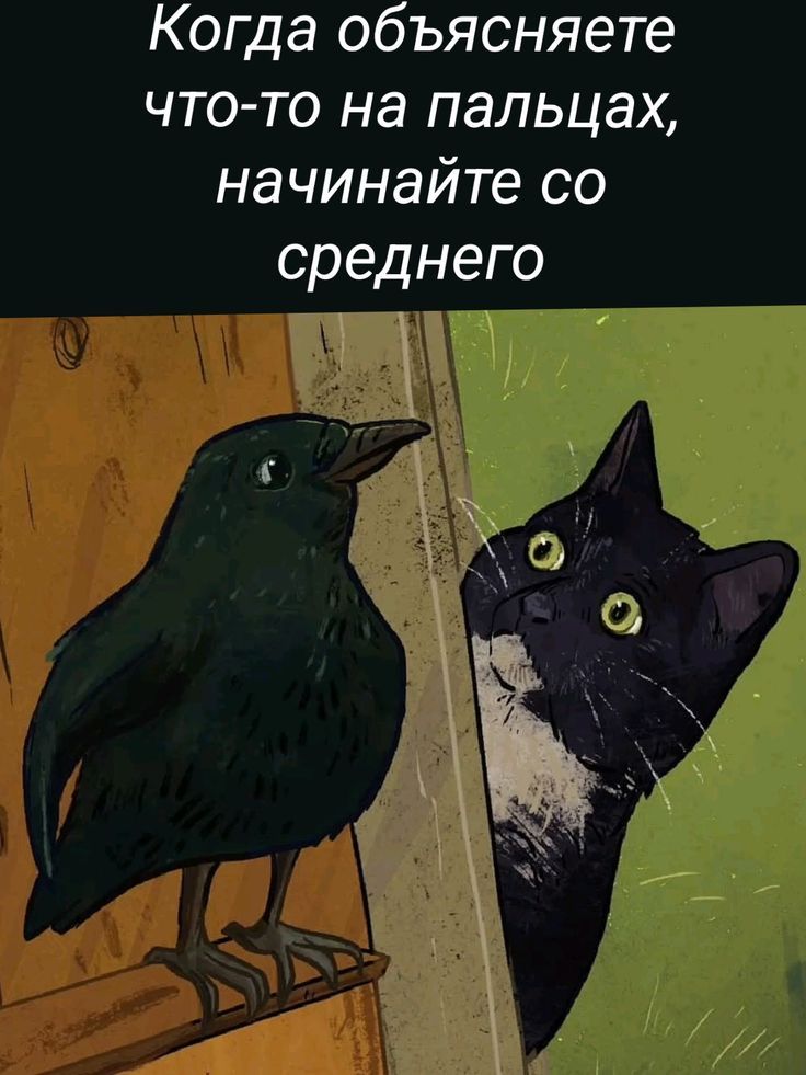 Когда объясняете что-то на пальцах, начинайте со среднего