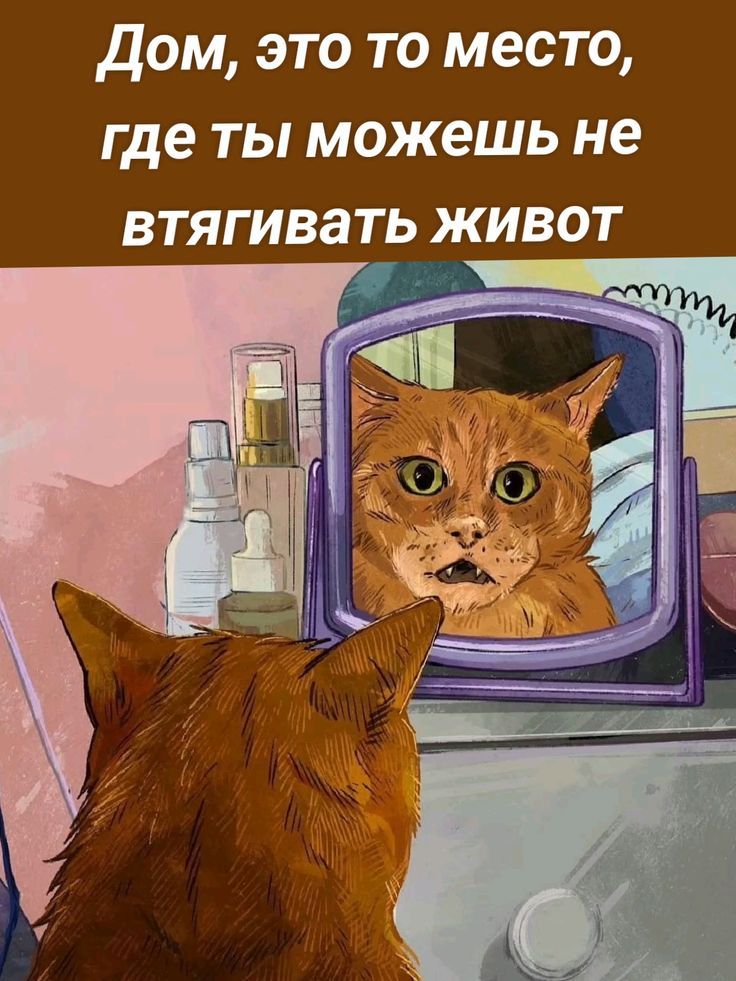 Дом, это то место, где ты можешь не втягивать живот