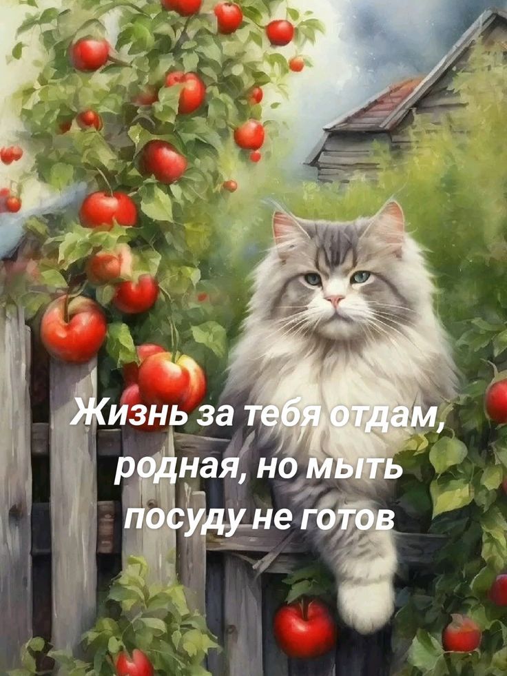 Жизнь за тебя отдаю, родная, но мыть посуду не готов.