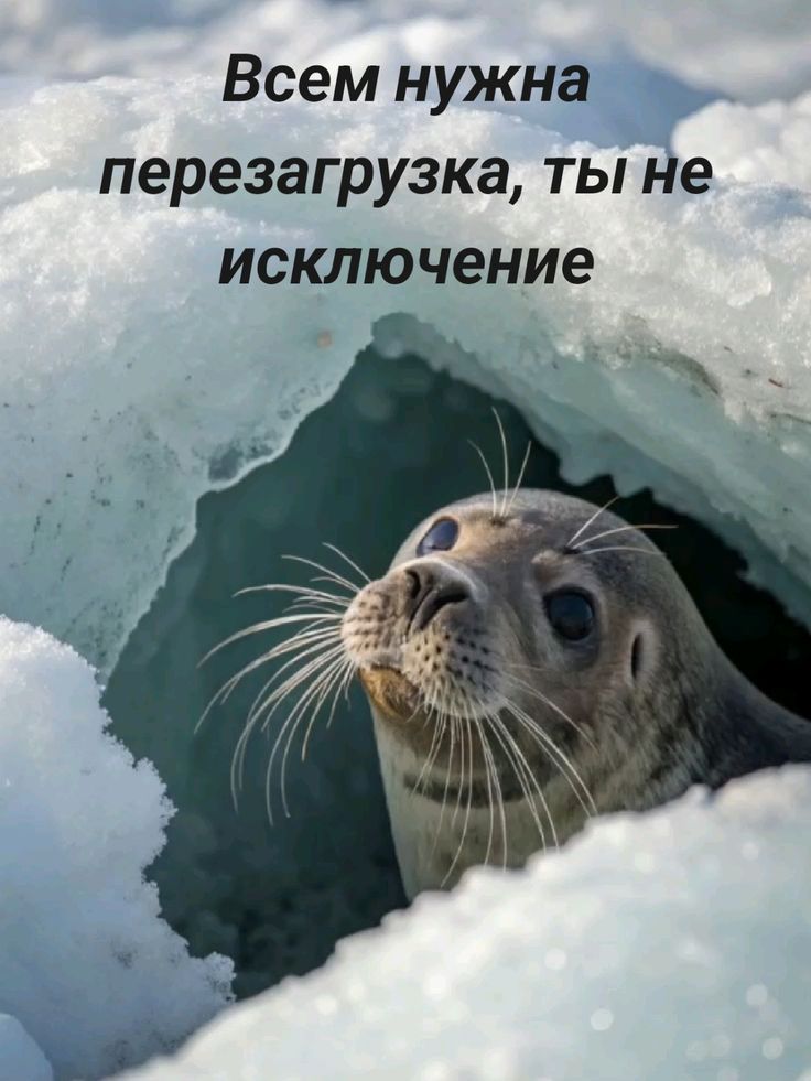 Всем нужна перезагрузка, ты не исключение