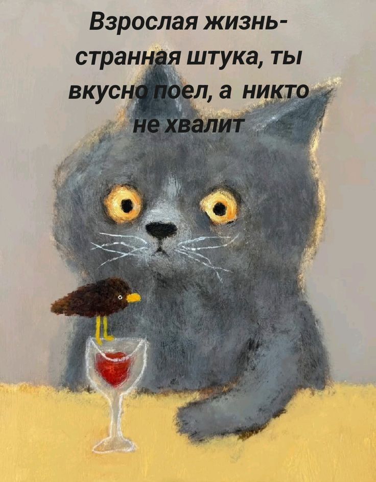 Взрослая жизнь - странная штука, ты вкусно поел, а никто не хвалит